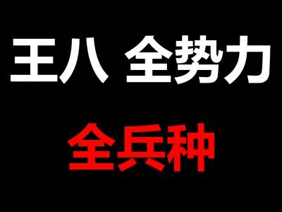 王八 全势力 全兵种 包括黄巾军兵种也可以招募了